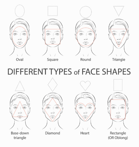 different head shape diagram